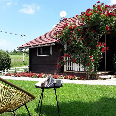 Wooden House Nela Near Plitvice Lakes 스몰리야나크 외부 사진